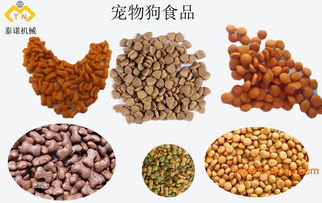 一站式解决方案 操作简单的宠物食品生产线与饲料设备加工基地