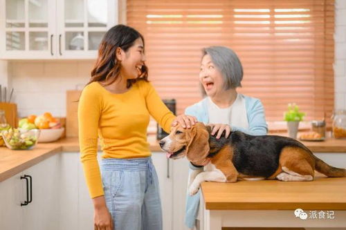 宠物食品营销新趋势 问“为什么”取代“是什么”的销售革命