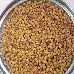 年货囤粮正当时 肉粒狗粮1:4添加，全犬期特惠促销开启