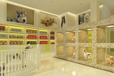 宠物店加盟哪家强？宠物食品销售全解析